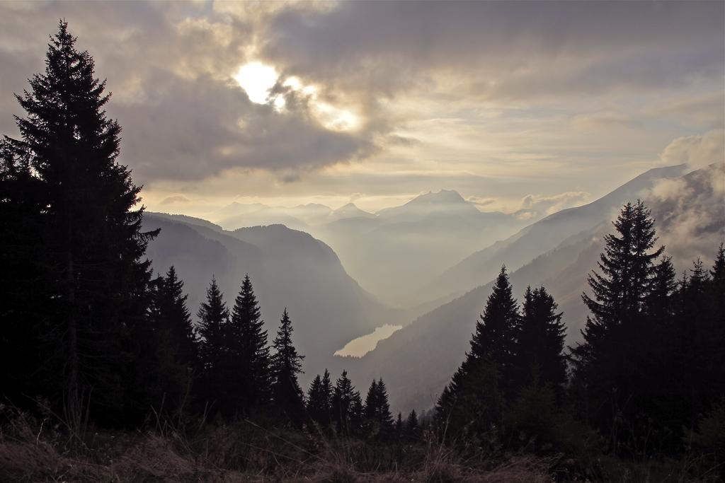 Micro-Lodge, Le Petit Nid D'Amour Montriond Habitación foto